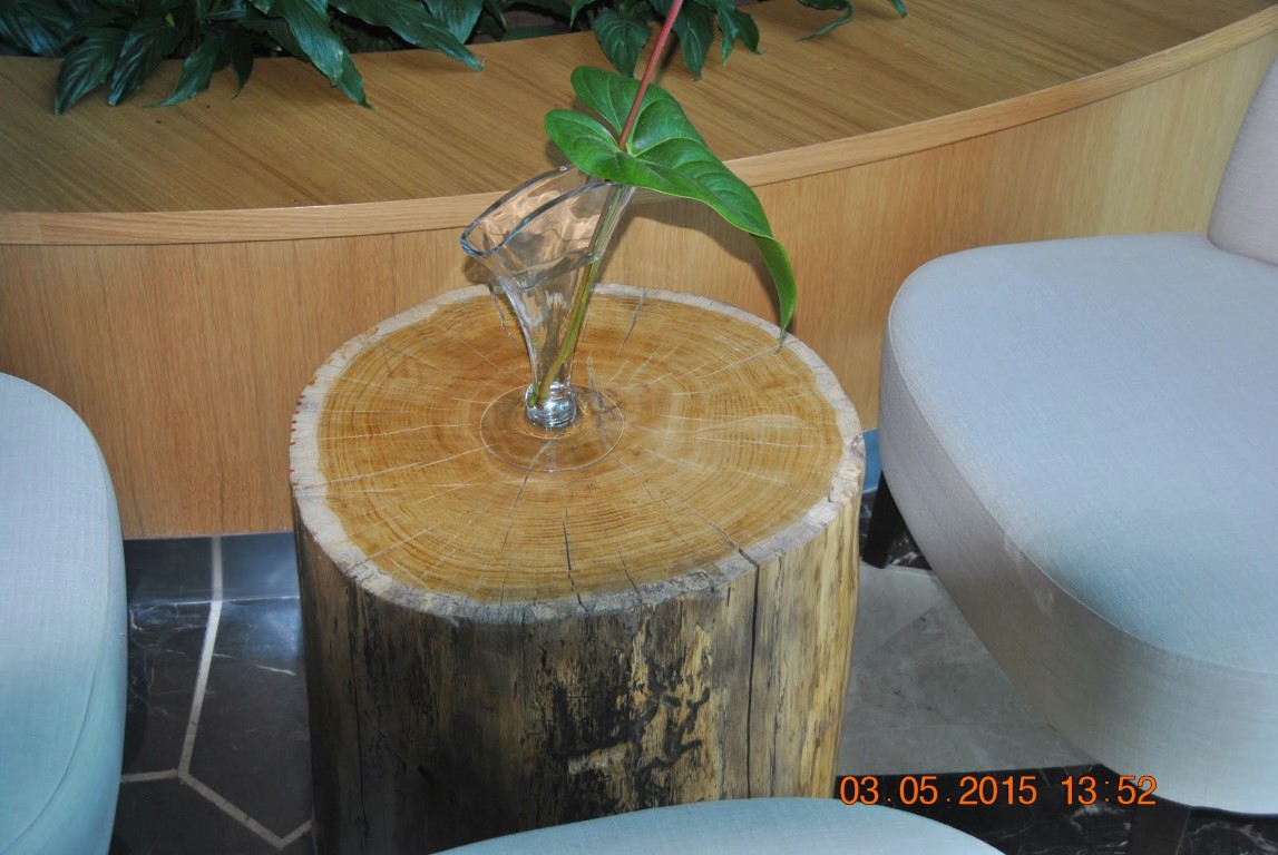 imagini hotel REGNUM CARYA BELEK